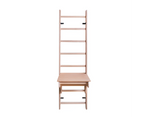 BenchK Series 1 Multifunctional 112 Wall Bars Swedish Ladder featuring a sleek design, perfect for home, gym, or office workouts.