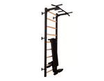 BenchK Series 7 723 Multifunctional Gymnastic Wall Bars Swedish Ladder for Home Fitness & Exercise - product_vendor - Peak Primal Wellness