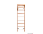 BenchK Series 1 111 Multifunctional Wall Bars Swedish Ladder for Home, Gym, Yoga & Fitness in a modern home setting showcasing its versatile design and exercise capabilities.