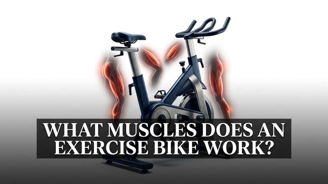 What Muscles Does an Exercise Bike Work? - Peak Primal Wellness