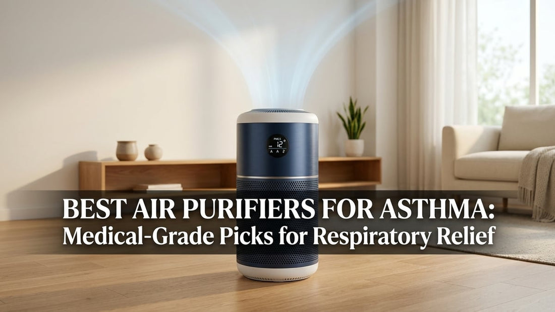 How air purifiers work and what they remove