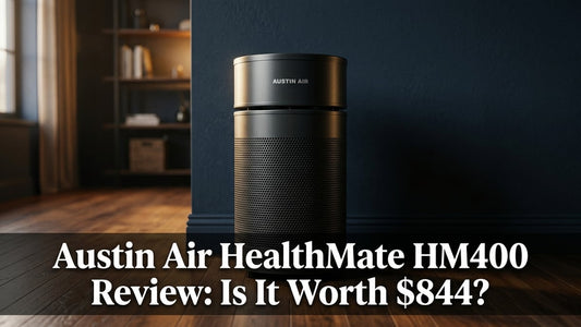 Austin Air HealthMate HM400 Review: Is It Worth $844? - Peak Primal Wellness