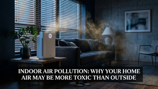 Indoor Air Pollution: Why Your Home Air May Be More Toxic Than Outside - Peak Primal Wellness