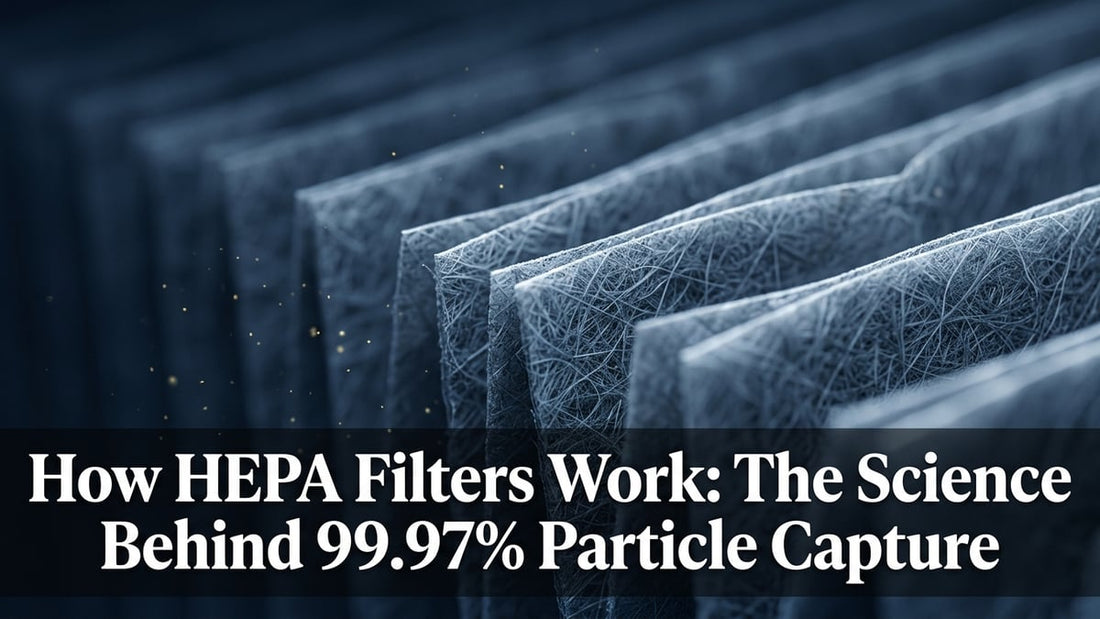 How HEPA Filters Work: The Science Behind 99.97% Particle Capture - Peak Primal Wellness