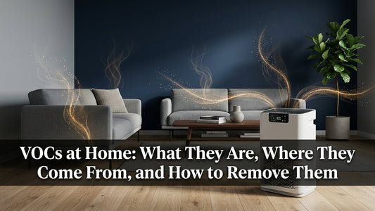 VOCs at Home: What They Are, Where They Come From, and How to Remove Them - Peak Primal Wellness