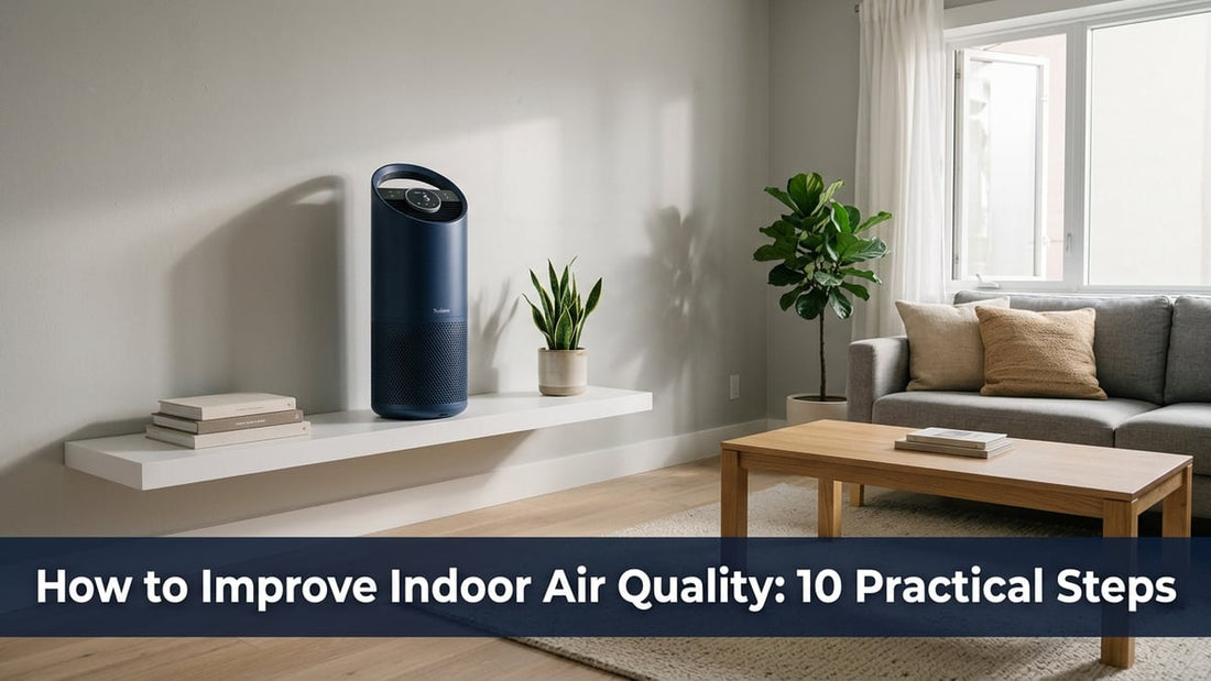 How to Improve Indoor Air Quality: 10 Practical Steps - Peak Primal Wellness