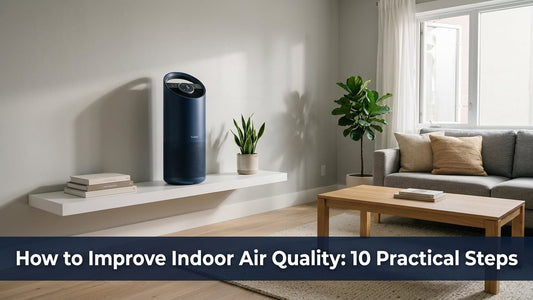 How to Improve Indoor Air Quality: 10 Practical Steps - Peak Primal Wellness
