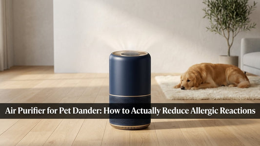 Sleek navy air purifier on wood floor in minimalist living room with a dog blurred in background
