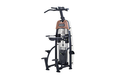 SportsArt SportsArt N911 Status Assisted Chin-Up and Tricep Dip