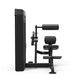 Spirit Dual, CSD-ACBE Ab Crunch/Back Extension