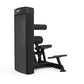 Spirit Dual, CSD-ACBE Ab Crunch/Back Extension