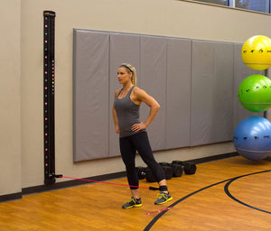 Prism Fitness Smart Resistance Wall Gym Kit -  product_vendor - Peak Primal Wellness