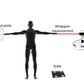 Dashr Bio LITE Biometric Measurement System