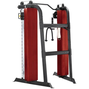 Steelflex CLDCC Dual Cable Column Machine for Versatile Full-Body Workouts and Strength Training