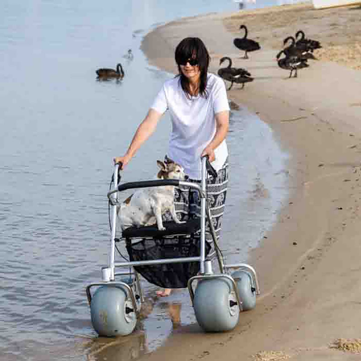 Wheeleez All-Terrain Beach Rollator -  product_vendor - Peak Primal Wellness