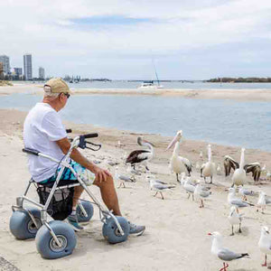 Wheeleez All-Terrain Beach Rollator