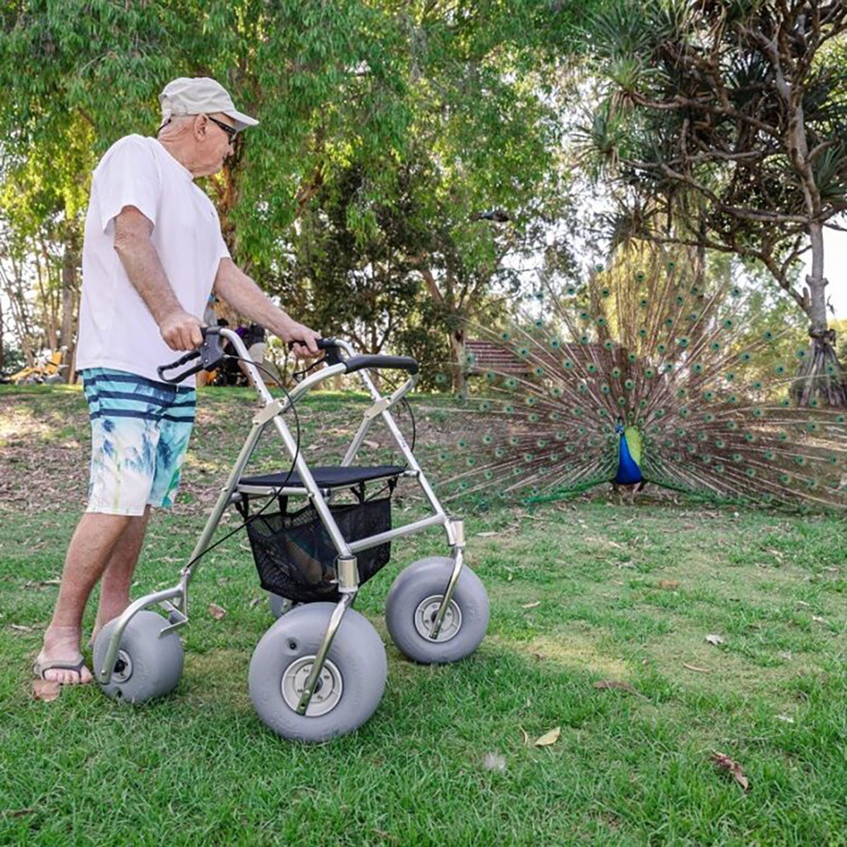 Wheeleez All-Terrain Beach Rollator -  product_vendor - Peak Primal Wellness