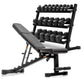 XMark 5-50 lb Hex Dumbbell Set with Rack and Weight Bench -  product_vendor - Peak Primal Wellness