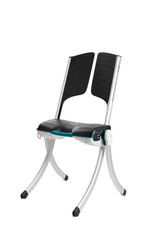 Liftup Raizer II, Battery Operated Mobile Lifting Chair -  product_vendor - Peak Primal Wellness