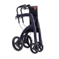 Rollz Motion -  product_vendor - Peak Primal Wellness