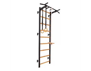 BenchK Series 7 721 + A076 Wall Bars With Accessories