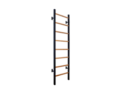 BenchK Series 2 200 Wall Bars