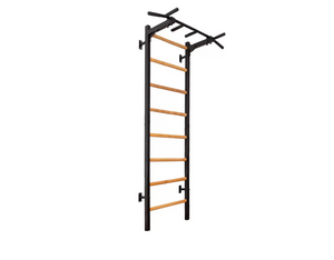 BenchK Series 2 221 Wall Bars