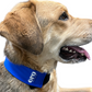 Oro Sports CoolPup™ Adjustable Dog Cooling Wrap with Lightweight CoolPak™ Technology