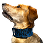 Oro Sports CoolPup™ Adjustable Dog Cooling Wrap with Lightweight CoolPak™ Technology