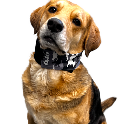 Oro Sports CoolPup™ Adjustable Dog Cooling Wrap with Lightweight CoolPak™ Technology