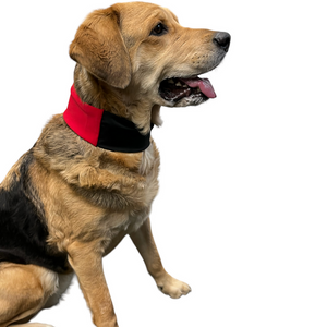Oro Sports CoolPup™ Adjustable Dog Cooling Wrap with Lightweight CoolPak™ Technology