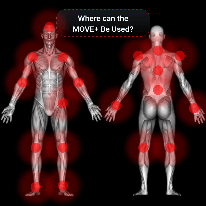 Kineon MOVE+ Extender Straps – Adjustable Back, Hip & Stomach Support for Enhanced Comfort -  product_vendor - Peak Primal Wellness