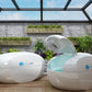 Dreampod Home Float Plus Float Tank