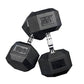 PRx Performance Rubber Hex Dumbbells -  product_vendor - Peak Primal Wellness