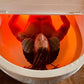 Dreampod Home Float Pro Float Tank