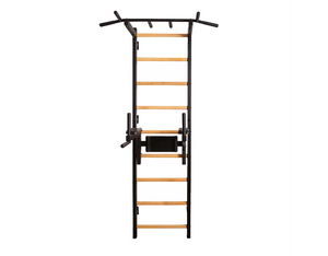 BenchK Series 7 722 Stall Bar for Home With Pull-up Bar and Dip Station