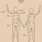 The Flow | Body Gua Sha -  product_vendor - Peak Primal Wellness