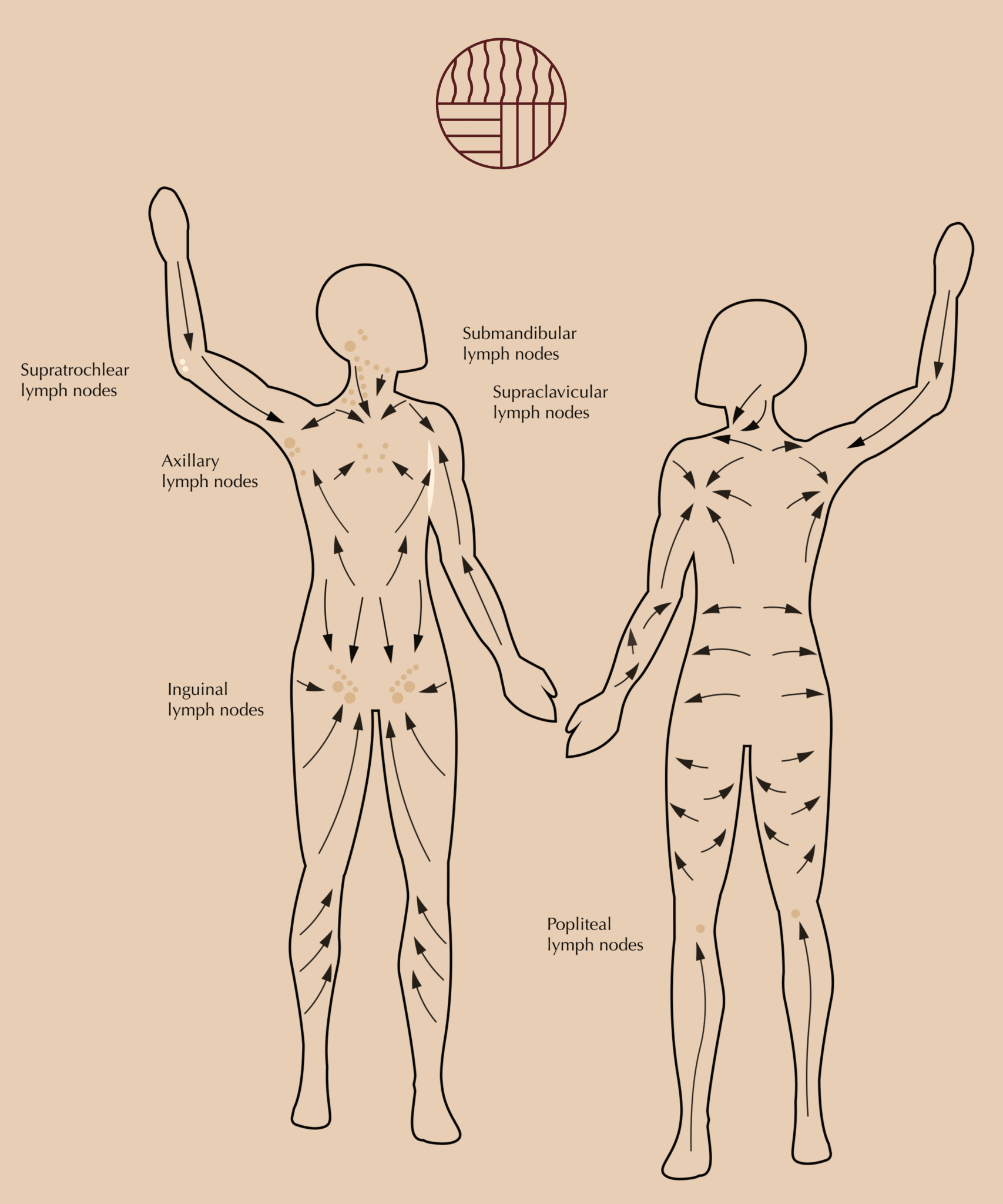 The Flow | Body Gua Sha -  product_vendor - Peak Primal Wellness