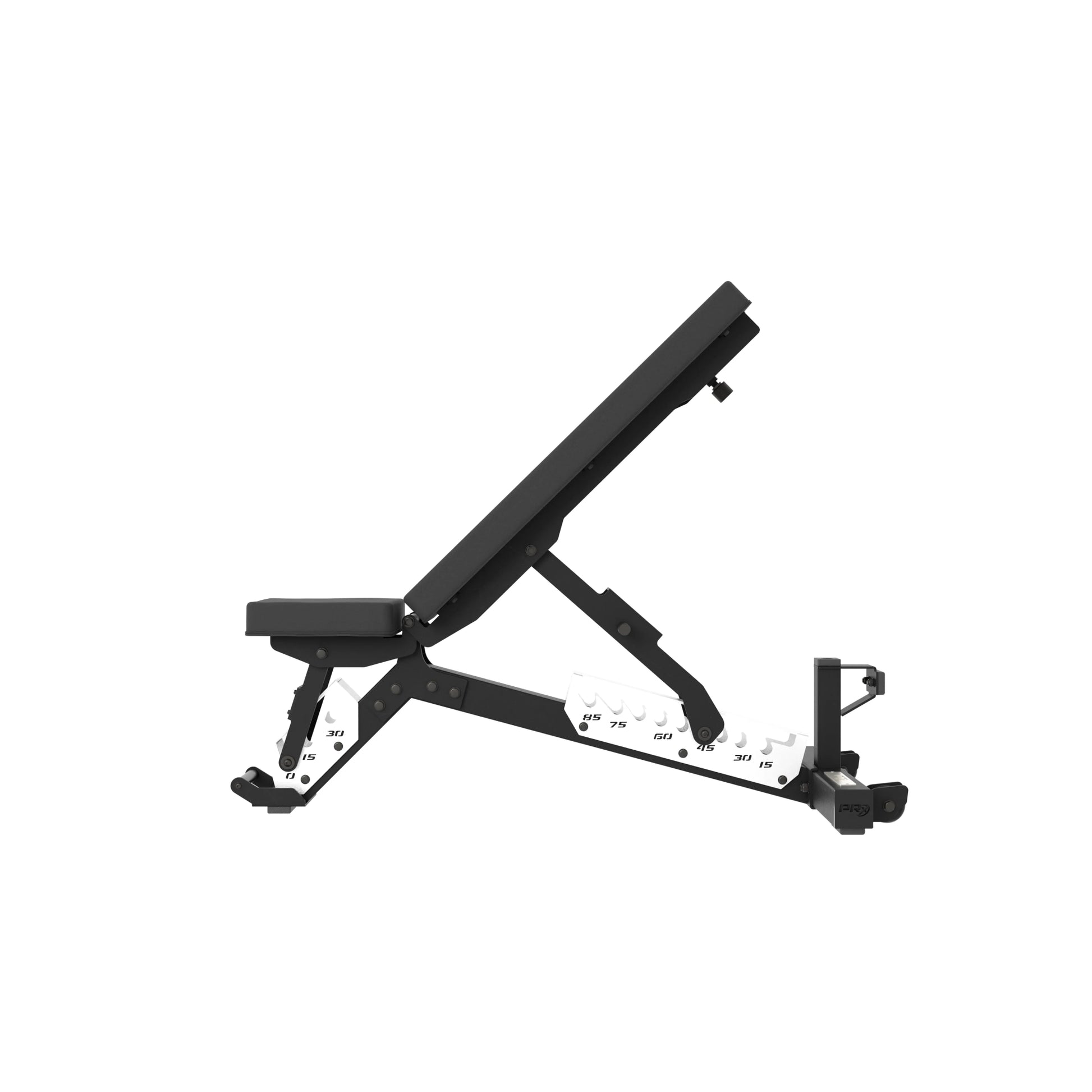 PRx Razortooth Weight Bench -  product_vendor - Peak Primal Wellness