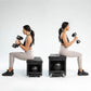 FITBENCH STUDIO -  product_vendor - Peak Primal Wellness