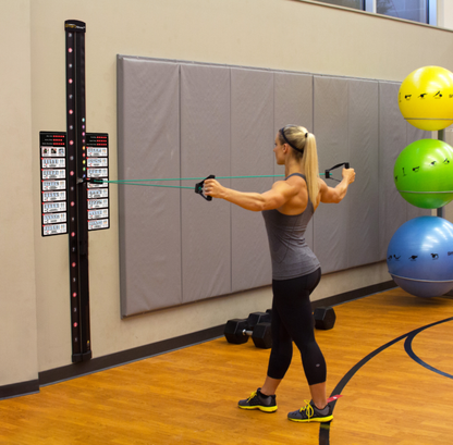 Prism Fitness Smart Resistance Wall Gym Kit