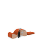 BASI Systems Spine Corrector with F2 - Ergonomic Pilates Tool for Posture Improvement & Flexibility