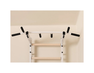 BenchK Series 2 221 + A076 Wall Bars