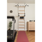 BenchK Series 5 522 Wall Bars with Dip Bar