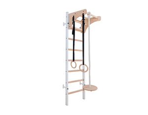 BenchK Series 2 211 + A076 Swedish Ladder for Kids With Gymnastic Accessories