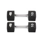 FITBENCH STUDIO -  product_vendor - Peak Primal Wellness