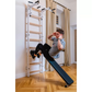 BenchK Series 7 733 Luxury Wall Bars for Home Gym and Personal Studio