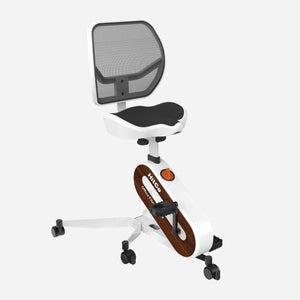 FC1 Office Bike -  product_vendor - Peak Primal Wellness
