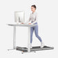 WalkingPad Z3 Just Walk Foldable Treadmill -  product_vendor - Peak Primal Wellness