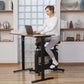 KingSmith W1B 3 IN 1 Foldable Exercise Bike, Under Desk Bike
